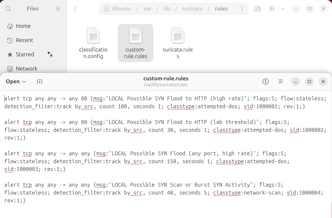Custom Suricata rules