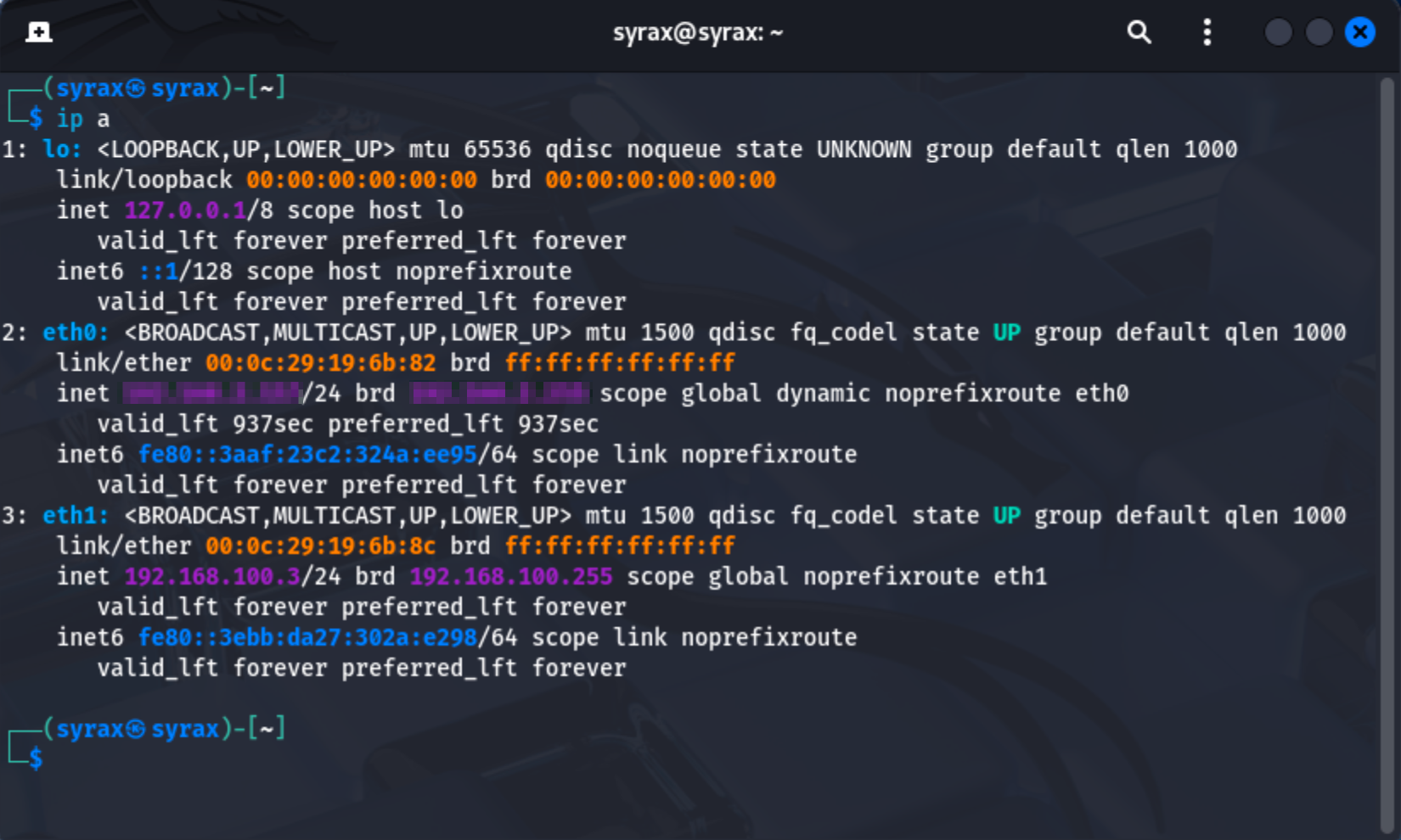 Kali Linux attacker virtual machine